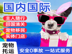 庆阳空运国际宠物托运 【国